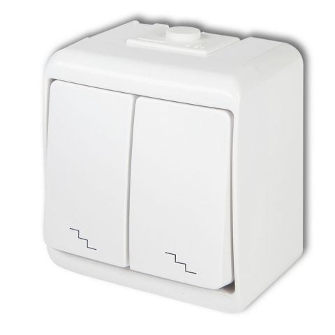 Aquastar dupla váltókapcsoló, IP54, fehér 22171